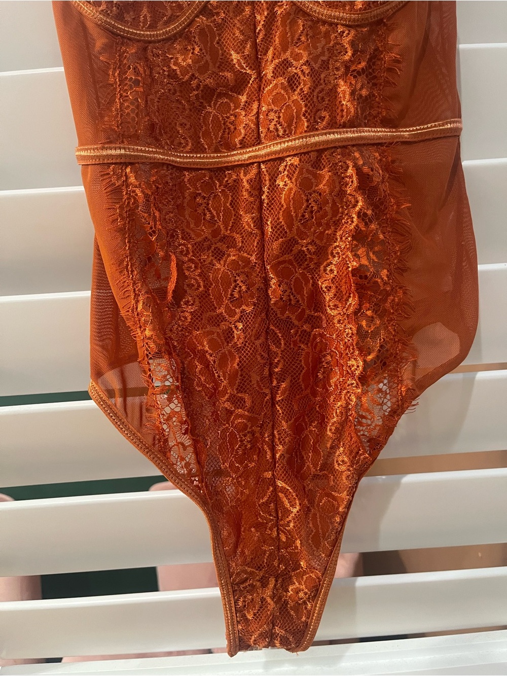 Rust Lace Mesh Bodysuit - Picture 4 of 5
